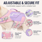 Adjustable straps and quick-release buckles on dog flotation vest